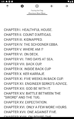 Book, Facing the Flag Screenshot 2