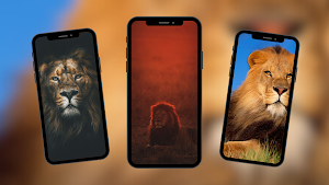 Lion Wallpapers Screenshot 0