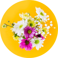 Flowers Name and Picture