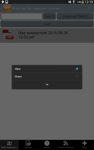 Oil and Gas Risk Assessment Screenshot 3