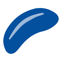 Northern Confectioners Ltd