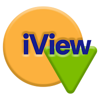 iView