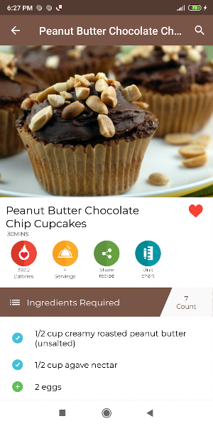 Gluten Free Recipes Screenshot 2
