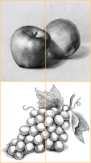 Drawing Fruits and Vegetables Screenshot 1