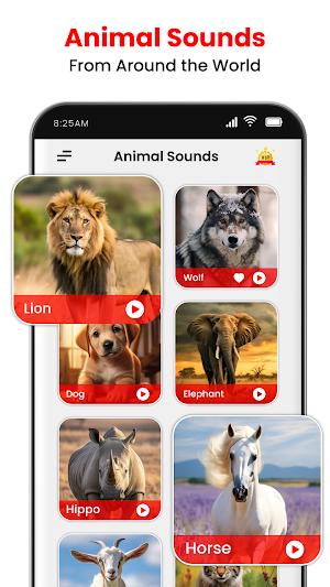 Animal Ringtones and Wallpaper Screenshot 1