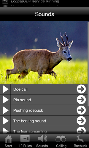 Roebuck Hunt Screenshot 1