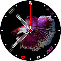 BFF28 - Animation Siamese Fish