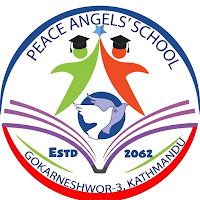 Peace Angels' School