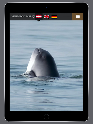 VisitMiddelfart Screenshot 3