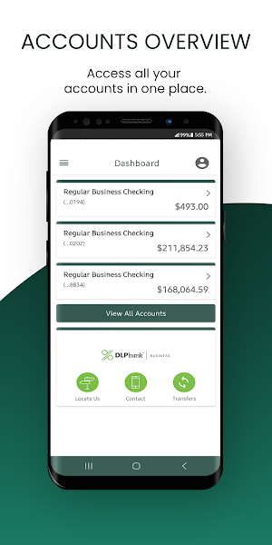 DLP Bank Business Screenshot 2