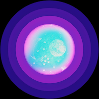 Dione Wallet