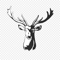 هیران چت