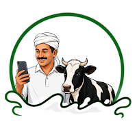 Dodhi