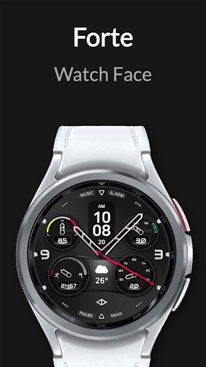 Forte: Hybrid Watch Face Screenshot 1