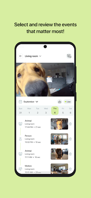 InstaView: Smart & Secure Home Screenshot 2