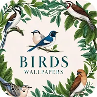 Bird Wallpapers