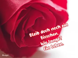 Valentinstag Sprüche Screenshot 3