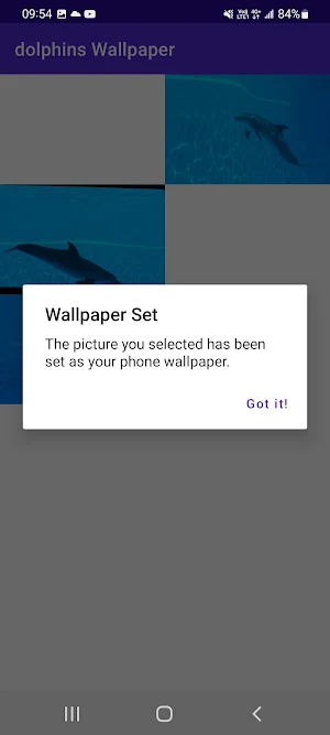 Dolphins Wallpaper Screenshot 1