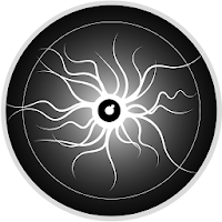 Plasma physics