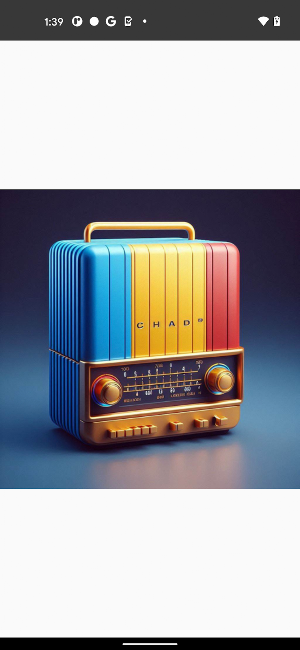 Tchad Radios + enregistreur Screenshot 3