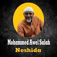 mohammed awel salah neshida