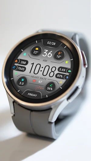 ZKin Silver Multifunctional Screenshot 1