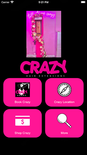 CRAZY HANDZ Screenshot 1