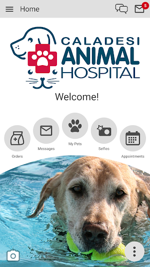 Caladesi Animal Hospital Screenshot 0