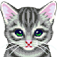 Save The Cat