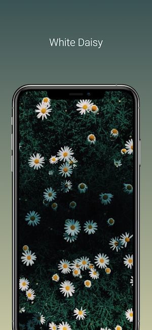 HD/4K flower background Screenshot 2