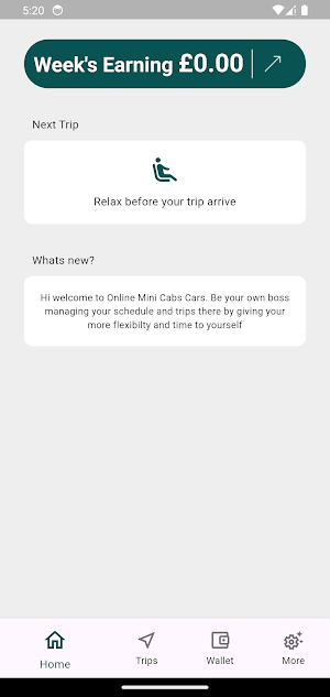 Online Mini Cabs Driver Screenshot 2