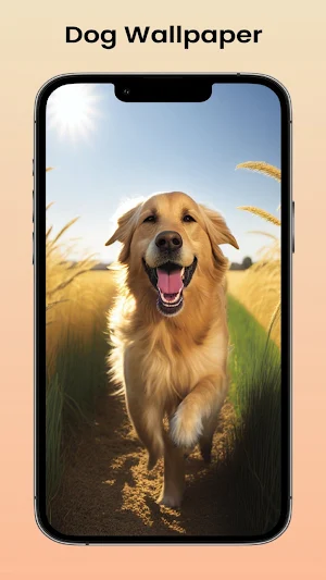 Dog Wallpaper Aesthetic Screenshot 0