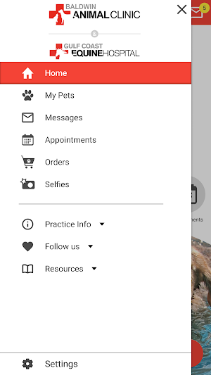 Baldwin Animal Clinic Screenshot 1
