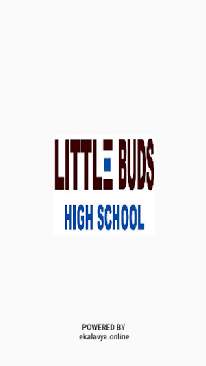 Little buds high school Screenshot 0