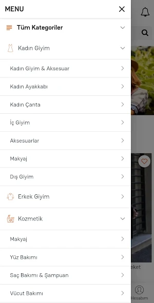 Başkentfestival Screenshot 1