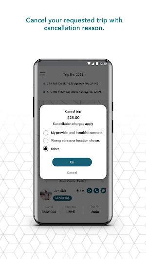 VAMOS - Request Screenshot 2
