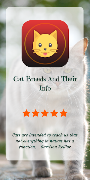 Cat Breed: Somali, Rex, burmese, mountain cat info Screenshot 0