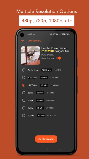 HDVid: Video Downloader Lite Screenshot 2