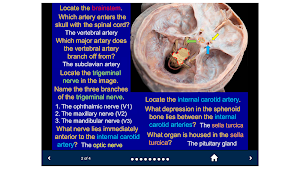 Head & Neck Anatomy-SecondLook Screenshot 2