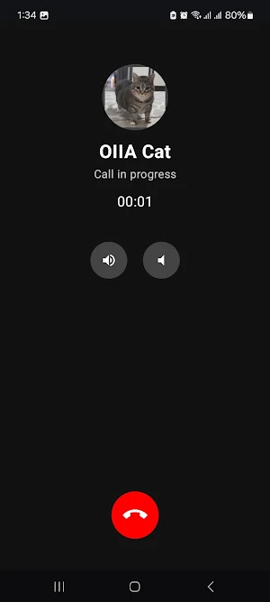 Call from Ui ie ia Cat Spining Screenshot 2