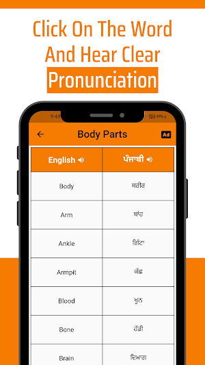 Daily Words English to Punjabi Screenshot 2