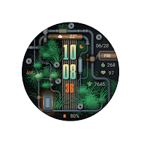 Source Of Water For Wear OS