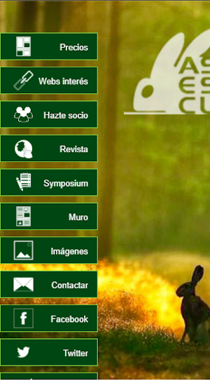 Asescu Screenshot 3