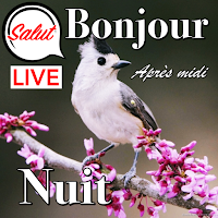 French Good Morning to Night