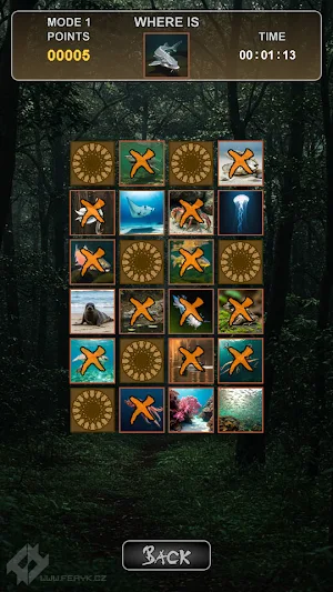 Pexeso - Memory Game Screenshot 2