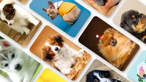 Puppy Wallpaper 2023 Screenshot 0