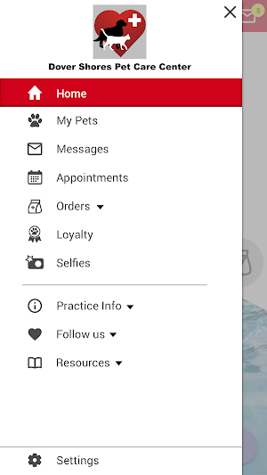 Dr. B's Pet Club Screenshot 1