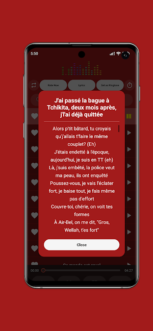 Music 13 Organisé & Lyrics Screenshot 1