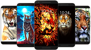 Tiger Wallpaper HD Screenshot 1