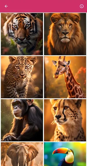 Wild Animal Wallpapers Offline Screenshot 1